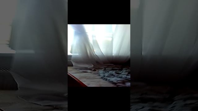 кет неп не даёт пить чай смотреть онлайн