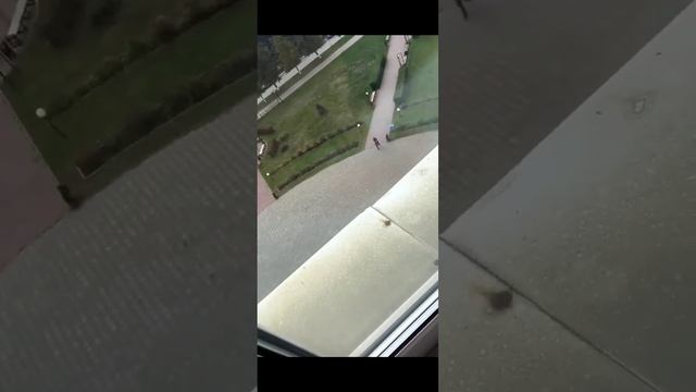 В Пермском вузе произошёл обстрел смотреть онлайн