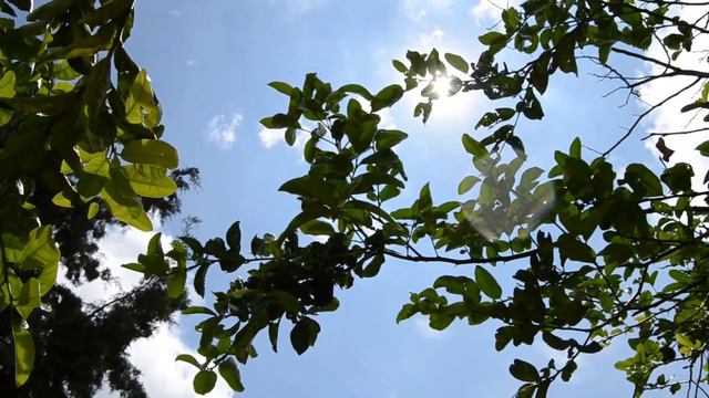 Repair DNA and Cleanse Your Energy with 432 Hz Healing Music смотреть онлайн