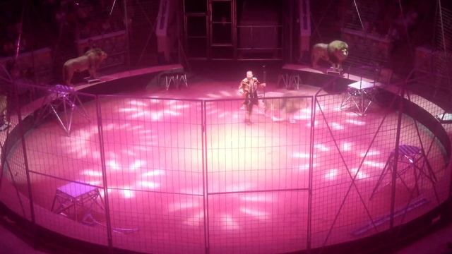 Xamada Kuta, оркестр Омского цирка, дирижер Сергей Ройз