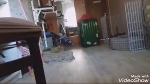 Как вызвать Джеффа убийцу!