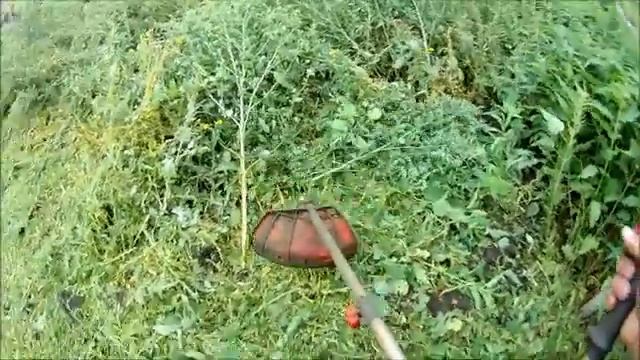 #триммер#леска ВЕЧНАЯ ЛЕСКА ДЛЯ ТРИММЕРА??? ? МОЙ ВЫБОР. ? смотреть онлайн