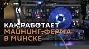 Деньги из электричества: как в Минске «майнят миллионы»