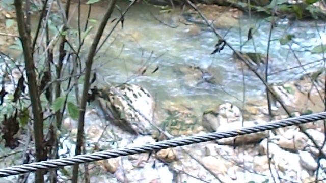 DSCN7863 Гуамское ущелье сентябрь 2024