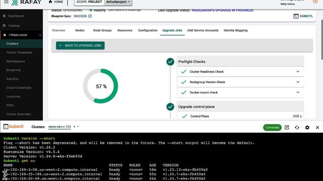 In-Place Upgrades of Amazon EKS Clusters to Kubernetes v1.24 using Rafay смотреть онлайн