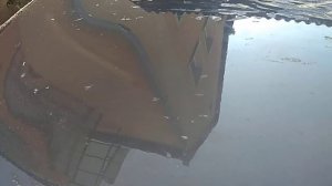 Снятие защитной плёнки с капота