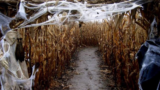 Halloween Traditions - Традиции Хеллоуина
