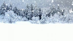 Футаж Зимний пейзаж 1