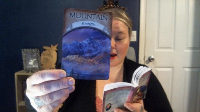 January 23rd Earth Magic Oracle Card reading for the soul collective. Be the mountain!!! смотреть онлайн