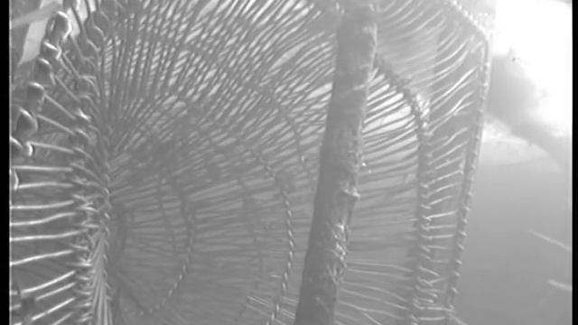 Старинный способ ловли налима