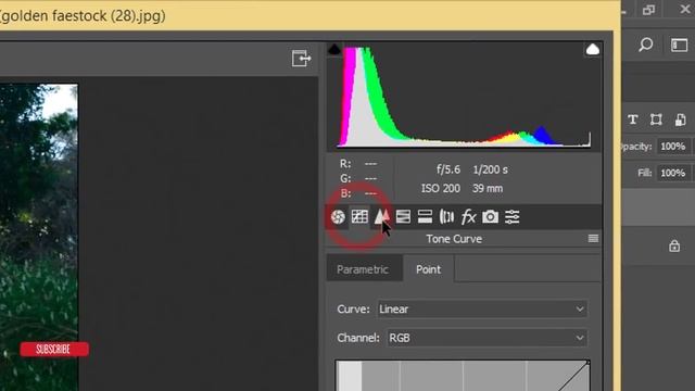 Free Photoshop Camera RAW Preset for Outdoor Photo Editing смотреть онлайн