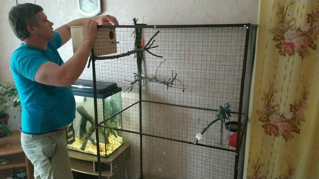 Гнёзда для волнистых попугаев!Своими руками смотреть онлайн