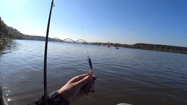 Проводки ультралайт приманок Strike Pro Shrimp 50 и Lipstick 45 смотреть онлайн