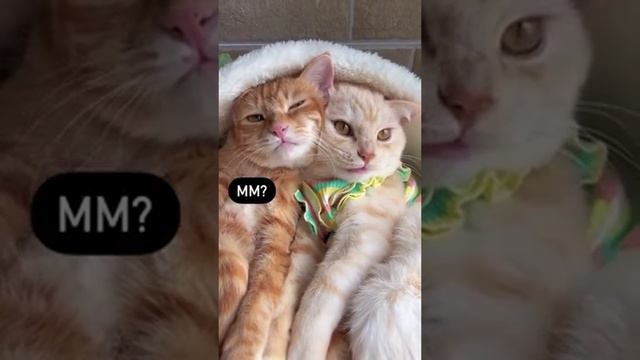 Не убедительно! смотреть онлайн