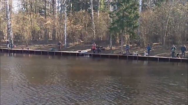 Форель по холодной воде идёт на солнечную сторону. Клёвое место, Лосиный остров, спорт - зона. смотреть онлайн