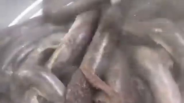 Кулинарные эксперименты с Миланой