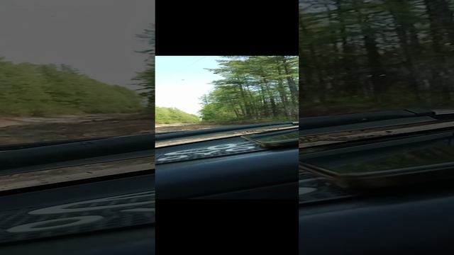 набрали три полных ведра