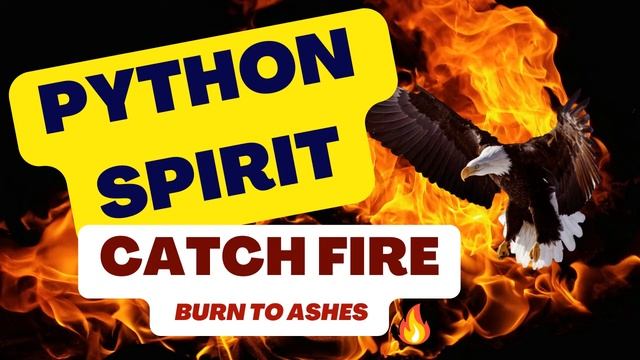 YOU PYTHON SPIRIT CATCH FIRE AND BURN TO ASHES смотреть онлайн