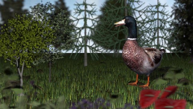 3D Farm Birds Finger Family Song | 3D Daddy Finger Animal Nursery Rhyme for Children смотреть онлайн