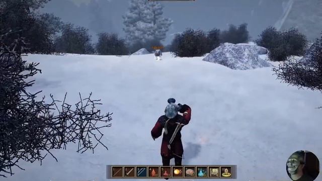 Lets Play Gothic 3 #45 Wolf Clan смотреть онлайн