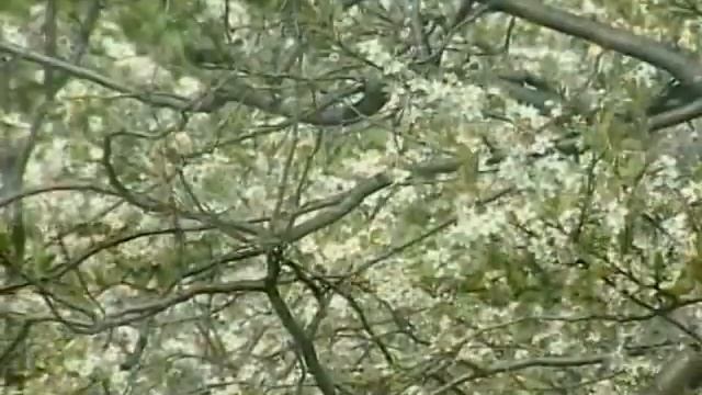 Усадьбы Подмосковья (2 серия) смотреть онлайн