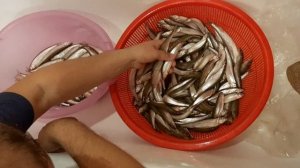 СОЛИМ КОРЮШКУ В ДОМАШНИХ УСЛОВИЯХ! МАСТЕР-КЛАСС ОТ БАТИ!