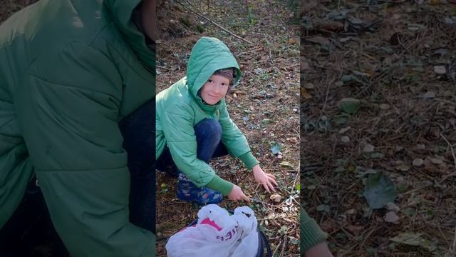 #длясчастья #стихипросчастье #поэзия смотреть онлайн