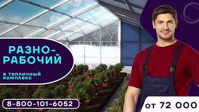 Работа, Вакансия Разнорабочий в тепличный комплекс