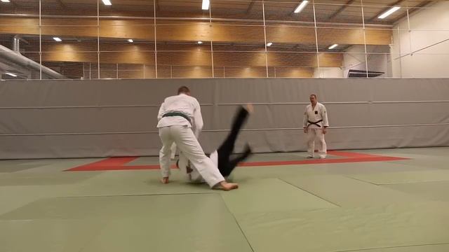Hokutoryu jujutsu training clips - randori смотреть онлайн
