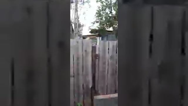 СНТ Алмаз смотреть онлайн