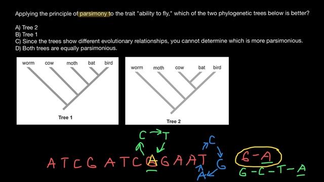 What is a Parsimony Method in Biology? смотреть онлайн