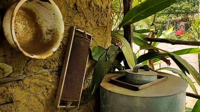 Dicas do Restaurante Rural Vó Maria (RURAL RESTAURANT TIPS GRANDMA MARIA), Areia - Paraíba смотреть онлайн