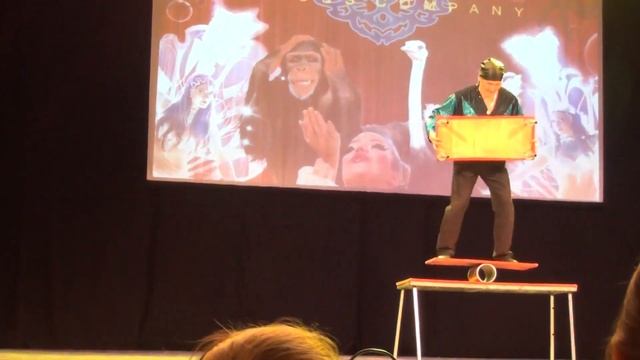 Цирк МариАрт. 25.01.2020. Circus Mariart смотреть онлайн