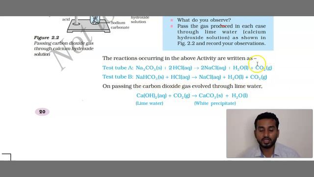 ACIDS BASES AND SALTS IMPORTANT TOPICS HIGHLIGHTS BY FAISAL SIR смотреть онлайн
