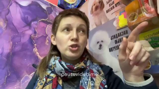 Обзор на Prime Wild кошки. 50/50 смотреть онлайн