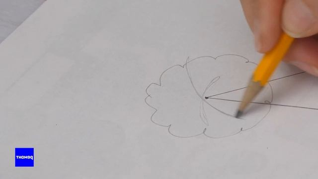 Ландшафтное проектирование садового участка. Мастер-класс от Натальи Земской | #Ландшафтхак