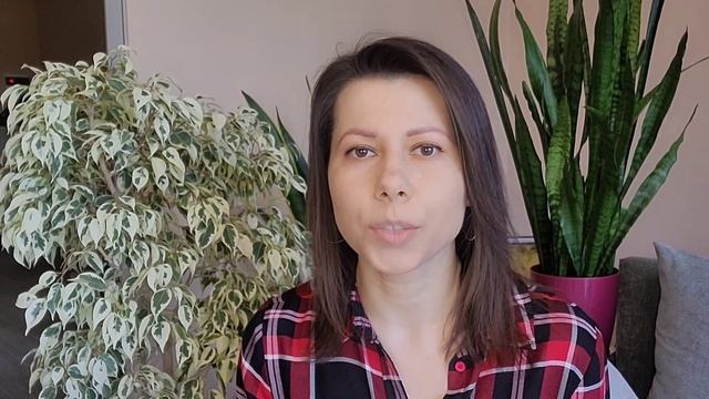 Сансевієрія. Вкорінення та адаптація сансевієрій, полив, догляд, пересадка сансевієрії. Sansevieria