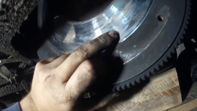 Грибные текстуры