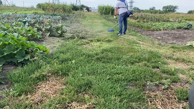 Бензокоса-Hyundai-Z420 Заводим косим смотреть онлайн