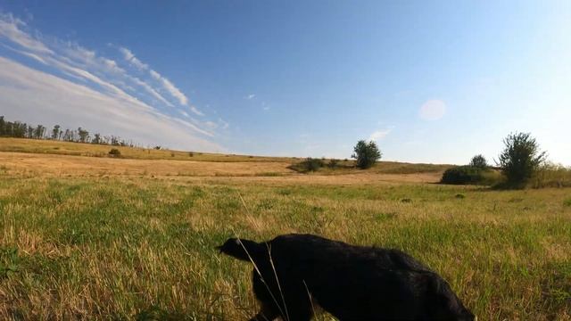 Очередной раз на природе Касуля Дороботка маркизы. смотреть онлайн