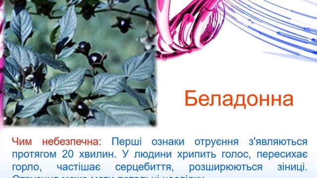 отруйні гриби рослини тварини смотреть онлайн