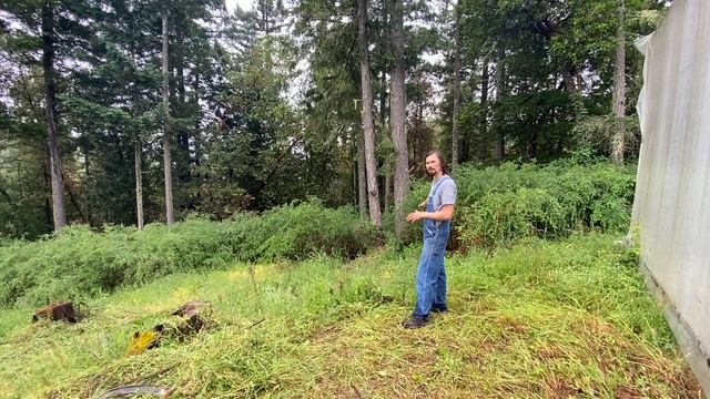 Chop and Drop PERMACULTURE TRANSFORMATION Update смотреть онлайн