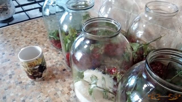 ЧУДО-КОМПОТ ИЗ КРАСНОЙ СМОРОДИНЫ ( НИКАКОЙ СТЕРИЛИЗАЦИИ!!!) смотреть онлайн