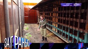 «За гранью»: «Ферма для убийства?» | Остросоциальное ток-шоу с Сергеем Соседовым на НТВ