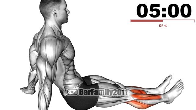 Morning Exercise Routine For Beginners At Home