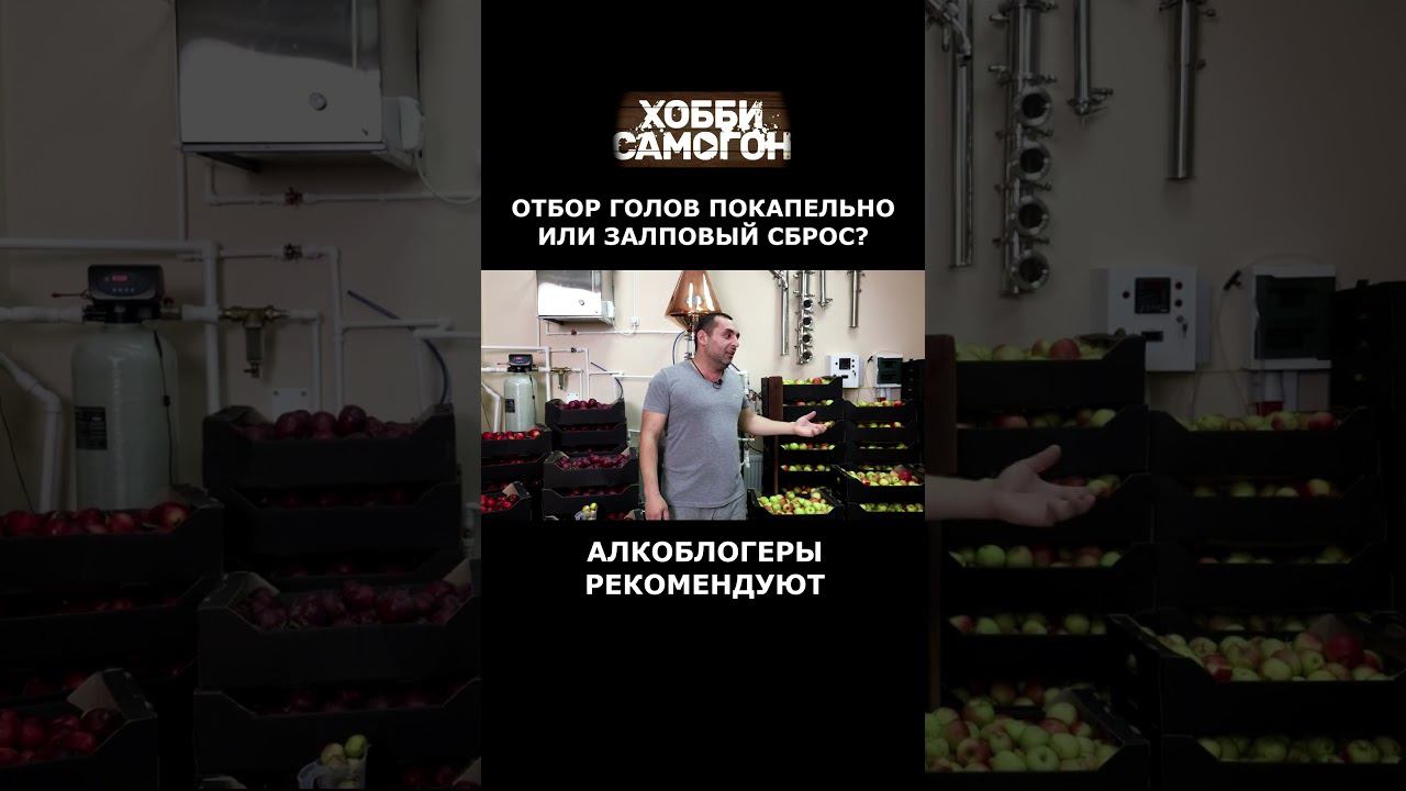 КАК ОТБИРАТЬ ГОЛОВЫ? ПОКАПЕЛЬНО ИЛИ ЗАЛПОВЫЙ СБРОС? смотреть онлайн