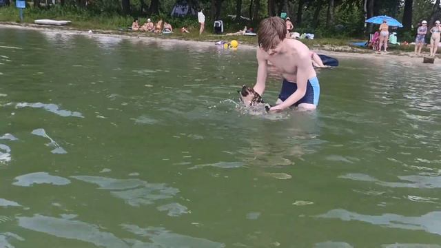 Чихуахуа Риччи на Белом озере. Республика Беларусь, Брестская область. смотреть онлайн