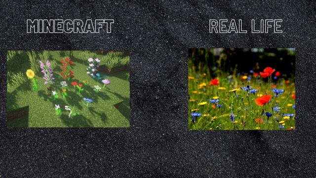 MINECRAFT VS REAL LIFE! Minecraft vs Real Life animation смотреть онлайн