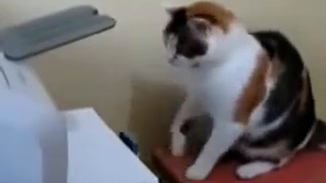 Minecraft мод на новых мобов смотреть онлайн