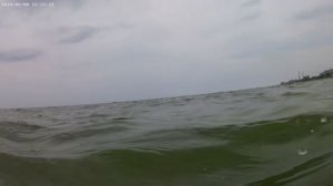 Заплыв в Каспийском море